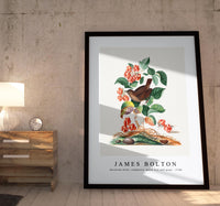 
              James Bolton - Eurasian wren, raspberry, wood lice and pupa 1768
            