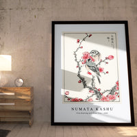 Numata Kashu - Pine Bunting and Plum Tree illustration from Pictorial Monograph of Birds