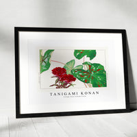 Tanigami Konan - Vintage sweet william flower