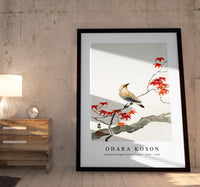 
              Ohara Koson - Japanese plague bird on maple (1900 - 1936)
            