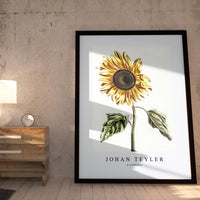 Johan Teyler - A sunflower