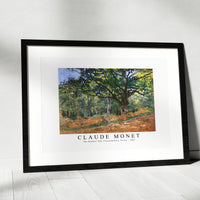 Claude Monet - The Bodmer Oak, Fontainebleau Forest 1865