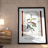 John James Audubon - Crimson fronted Purple Finch