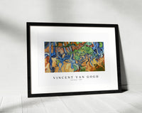
              Vincent Van Gogh - Tree Roots 1890
            