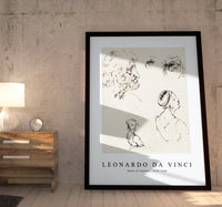 
              Leonardo Da Vinci - Sheet of Studies 1470-1480
            