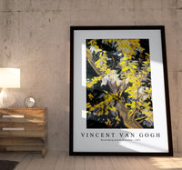 
              Vincent Van Gogh - Blossoming Acacia Branches 1890
            
