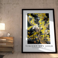 Vincent Van Gogh - Blossoming Acacia Branches 1890