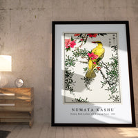 Numata Kashu - Chinese Bush-warbler and Drooping Peach iIllustration from Pictorial Monograph of Birds (1885)