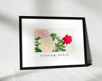 
              Tanigami Konan - Vintage rose
            