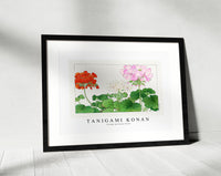 
              Tanigami Konan - Vintage geranium flower
            
