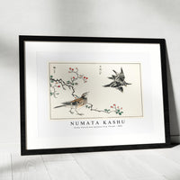 Numata Kashu - Dosky Thrush and Japanese Grey Thrush illustration from Pictorial Monograph of Birds (1885)