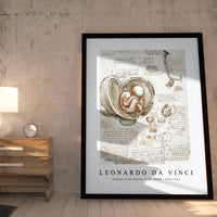 Leonardo Da Vinci - Studies of the Foetus in the Womb 1510-1513