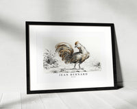 
              Jean Bernard - Rooster
            