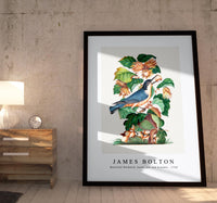 
              James bolton - Beautiful Nuthatch, hazel, oak and bramble 1768
            