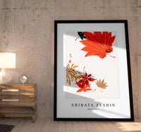 
              Shibata Zeshin - Maple Leaves
            
