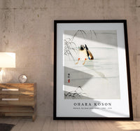 
              Ohara Koson - Mallard, the head under water (1900 - 1930) by Ohara Koson (1877-1945)
            