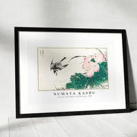 Numata Kashu - Japanese Pied Wagtail and Red Lotus illustration from Pictorial Monograph of Birds (1885)