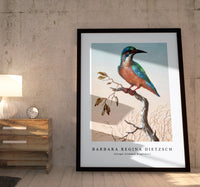 
              Barbara Regina Dietzsch - IJsvogel (Common Kingfisher)
            