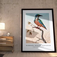 Barbara Regina Dietzsch - IJsvogel (Common Kingfisher)