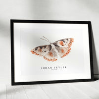 Johan Teyler - A butterfly