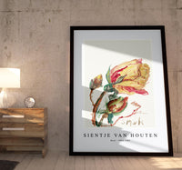 
              Sientje Van Houten - Rose 1844-1909
            