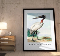 
              Aert chouman - Jabiru-1770
            