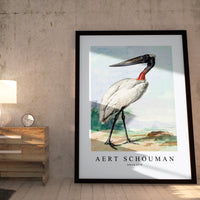 Aert chouman - Jabiru-1770