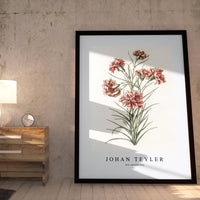 Johan Teyler - Six carnations