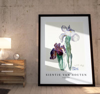 
              Sientje Van Houten - Irises 1897
            