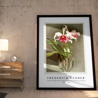 Frederick Sander - Cattleya (hybrida) arnoldiana from Reichenbachia Orchids-1847-1920