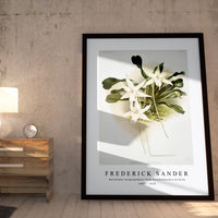 Frederick Sander - Aeranthus sesquipedalis from Reichenbachia Orchids-1847-1920