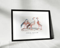 
              Johan Teyler - Miss Crane Birds
            