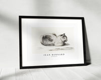 
              Jean Bernard - Reclining cat
            