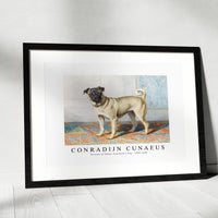 Conradijn Cunaues - Portrait of Edwin Vom Rath’s Pug 1880-1895