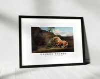 
              George Stubbs - Horse Frightened by a Lion 1762-1768
            