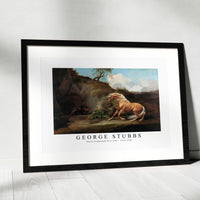 George Stubbs - Horse Frightened by a Lion 1762-1768