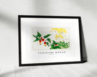 
              Tanigami Konan - Wood sorrel
            