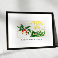 Tanigami Konan - Wood sorrel