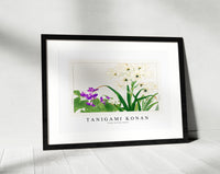 
              Tanigami Konan - Violet & Scilla flower
            