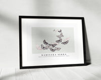 
              Kamisaka Sekka - Japanese woodblock butterfly (One Thousand Butterflies) - 1904(2)
            