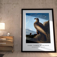 John Jadmes Audubon - Washington Sea Eagle (ca. 1836–1839)