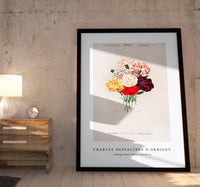 
              Charles Dessalines D'Orbigny - Cabbage Rose (Rosa Centifilia)
            