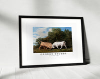 
              George Stubbs - Bulls Fighting 1786
            
