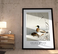 
              Ohara Koson - Two ducks on snowy reed (1900 - 1930) by Ohara Koson (1877-1945)
            