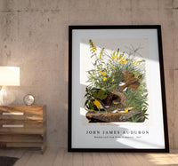 
              John James Audubon - Meadow Lark from Birds of America (1827)
            