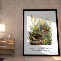 John James Audubon - Meadow Lark from Birds of America (1827)