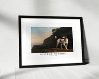 
              George Stubbs - Foxhound 1760
            