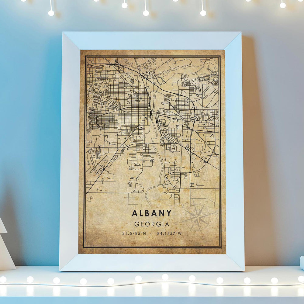 Albany, Georgia Vintage Style Map Print 