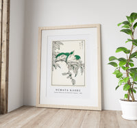 
              Numata Kashu - Japanese White-eye and Osmanthus Fragrans illustration from Pictorial Monograph of Birds (1885)
            
