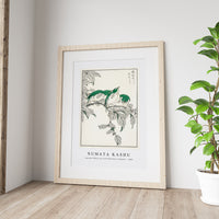 Numata Kashu - Japanese White-eye and Osmanthus Fragrans illustration from Pictorial Monograph of Birds (1885)